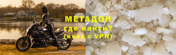 прущие грибы Аркадак