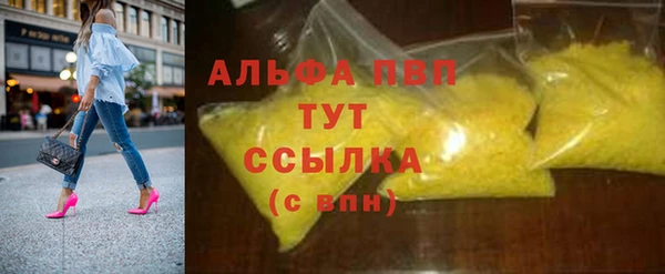 прущие грибы Аркадак