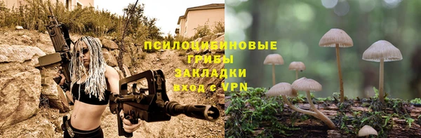 эйфоретик Балахна